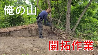 プライベート野営地 通称『俺の山』 開拓作業