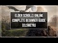 Elder Scrolls Online Complete Beginner Guide (Elsweyr Patch)