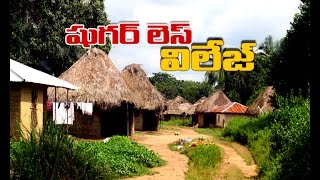 Sugar Less Village In Adilabad District || 99Tv ||