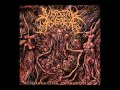 » Visceral Disgorge - Necrocoprophagia