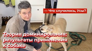 Что случилось, Усы? Теория доминирования