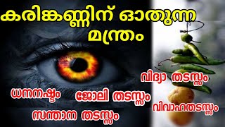 #കരിങ്കണ്ണിനുള്ള മന്ത്രം | എല്ലാ തടസ്സങ്ങും മാറി വിചാരിച്ചപ്പോൽ കാര്യം നടക്കാൻ ഇത് ചെയ്താൽ മതി