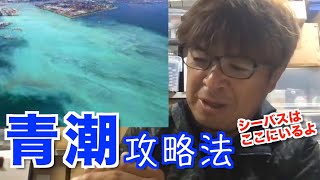 【村岡昌憲】青潮の時はココを攻めろ！