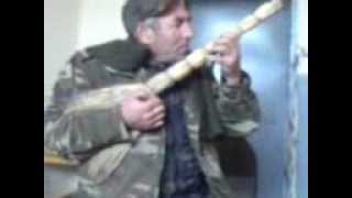 Gizir kayfda!!!