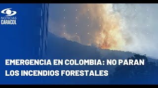 Incendios forestales en Colombia: cubrimiento especial