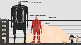 List of All TITAN Sizes in Attack on Titan Anime! From the Smallest to the Big