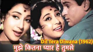 Mujhe Kitna Pyar Hai Tumse-Dil Tera Diwana 1962-Shammi Kapoor, Mala Sinha-Lata Mangeshkar, Moh. Rafi