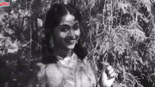 Teri Pyari Pyari Surat Ko | Mohammed Rafi | Music Shankar Jaikishan |  Sasural 1961
