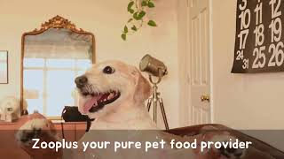 Zooplus your pure pet food provider