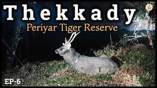 Periyar National Park | Night Trekking inside Jungle | Munnar to Thekkady | offbeat travel