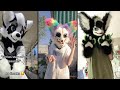 ☘️ Furry Tik Tok Compilation 🌿