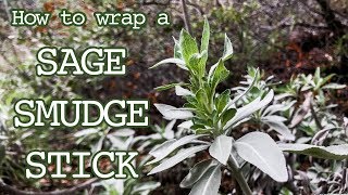 How To Wrap A Sage Smudge Stick | White Sage | Salvia Apiana | Herbal Spirits