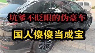 坑爹不眨眼的伪豪车，国人傻傻当成宝。