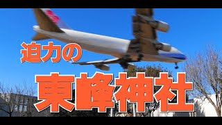 ✈✈RJAA成田空港ジャンボも 超低空通過”大迫力” 超危険な場所山茶花の咲く東峰神社  怒濤の20連発 成田空港で一番近くで飛行機が見れる場所 東峰神社