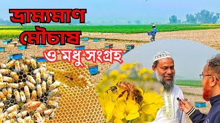 আধুনিক পদ্ধতিতে বাক্সে ভ্রাম্যমান মৌমাছি পালন।( Modern method of keeping mobile bees in boxes.)