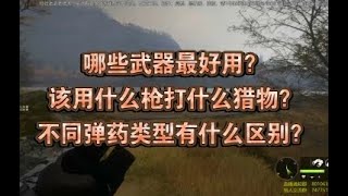 【猎人:荒野的召唤 theHunter: Call of the Wild】哪些武器最好用？该用什么枪打什么猎物？不同弹药类型有什么区别？