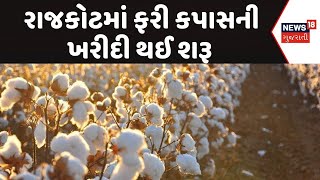 Rajkot APMC News | રાજકોટમાં ફરી કપાસની ખરીદી થઈ શરૂ | Cotton Crop | Rajkot APMC | Marketing Yard