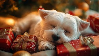 ☆ 12 HEURES ☆ MUSIQUE DE SOMMEIL de Noël pour chiens 🎄🎅 Gardez votre chiot calme et anti-anxiété ...