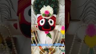 ଡୋରି ତୋର ଲଗେଇଦେ ମୁ ପୁରିଜିବିରେ||new Jagannath status bhajana #bhajan #4kstatus #jagannathstatus#odia