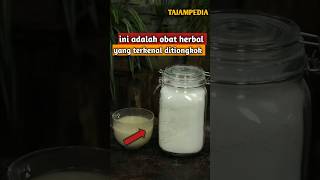 ini adalah obat herbal yang terkenal ditiongkok