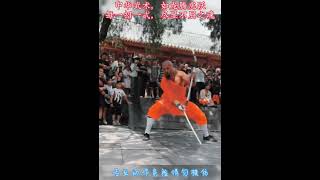 看欣賞壹下，這項少林絕技如何#shaolin #kungfu #shorts