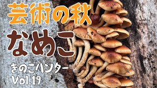 きのこハンターVol.19 〜なめこ・芸術の秋〜