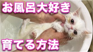 【シュシュ】お風呂大好き猫に育てる方法、初めてのシャンプー【猫シャンプーの教科書】