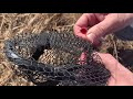 fx4 early spring fishing san like net review