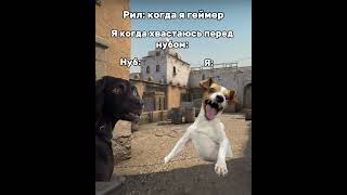 Рил: когда я геймер #жиза #рил #мем #смех