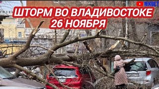 УРАГАН ВО ВЛАДИВОСТОКЕ И ПОСЛЕДСТВИЯ 26 НОЯБРЯ