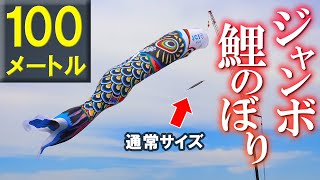 加須市のジャンボこいのぼり遊泳/2023.5.3/全長100ｍの鯉のぼり/加須市民平和祭/イベント/祭り/埼玉/観光旅行vlog