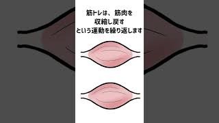 肩甲挙筋②　肩こりに効く筋トレは、やっぱりコレ!!　#shorts