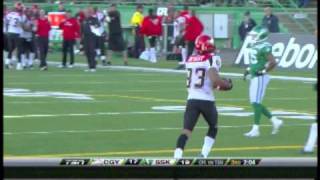 Henry Burris 17 yard touchdown pass to Romby Bryant - October 17, 2010