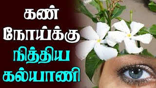 Nithyakalyani Flower benefits in Tamil || Nithyakalyani Poo uses || eye side improve home remedies