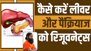 कैसे करें लीवर (Liver) और पैंक्रियाज (Pancreas) को रिजूवनेट्स || Swami Ramdev