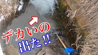 オショロコマ狙いの渓流で巨大魚が出たっ！【ガサガサ】