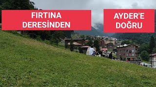 FIRTINA DERESİ/Çamlıhemşin/AYDER YAYLASI/RİZE #çamlıhemşin #ayder #rize #karadenizyaylaları