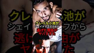 クレベルがシェイドゥラエフから逃げた理由がヤバすぎた。#rizin #格闘技 #朝倉未来