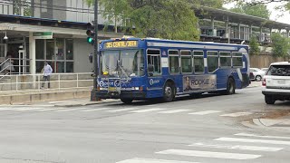 Pace Bus: 2005 NABI 40-LFW Route 315 Bus #6266 at Corcoran/Austin (Afternoon)