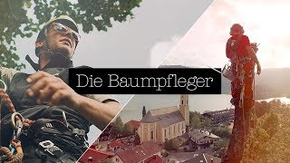 The Arborists – Die Baumpfleger