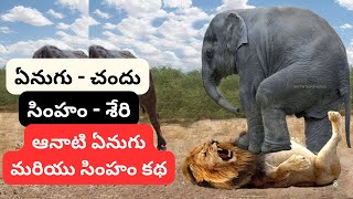 LION ELEPHANT | ఆనాటి ఏనుగు మరియు సింహం కథ | స్నేహం, దయ, ధైర్యం: చందు మరియు శేరి కథ