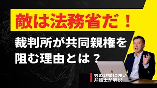 共同親権の敵は法務省だ‼️法務省が共同親権に反対する理由を解説