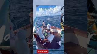 Amazing Big Fish Fishing, 🐟, Marlin Fish | Big Fish Fishing,🐟 #short #fyp #4k #fishing #fish