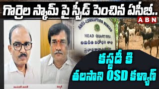 గొర్రెల స్కామ్ పై స్పీడ్ పెంచిన ఏసీబీ..కస్టడీ కి తలసాని OSD కళ్యాణ్ | Telangana Sheep Scam | ABN