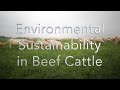 Environmental Sustainability on Beef Cattle Farms