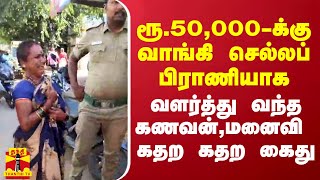 ரூ.50 ஆயிரத்துக்கு வாங்கி வீட்டில் செல்லப்பிராணியாக வளர்த்து வந்த கணவன், மனைவி கைது