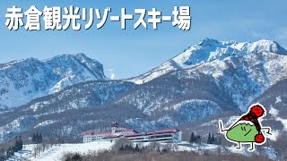 赤倉観光リゾートスキー場 頂上から下までの滑走風景 2021/02/13