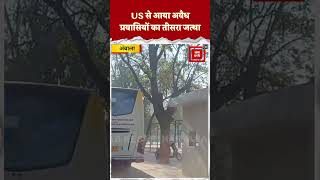 वोल्वो बस से Ambala लाए गए America से डिपोर्ट Haryana के 44 अवैध प्रवासी