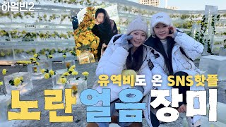 하얼빈 유역비도 다녀간 핫한 SNS 포토스팟 노란얼음장미 Harbin famous photo spot with yellow roses #중국여행 #차오루 #재이 #가볼만한곳