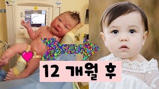 신비로운 천사의 12개월 성장 과정- 개월별 아기 특징(탄생의 신비로움)